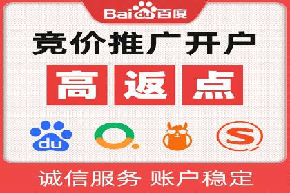 电商平台信息流广告的投放策略与效果评估案例